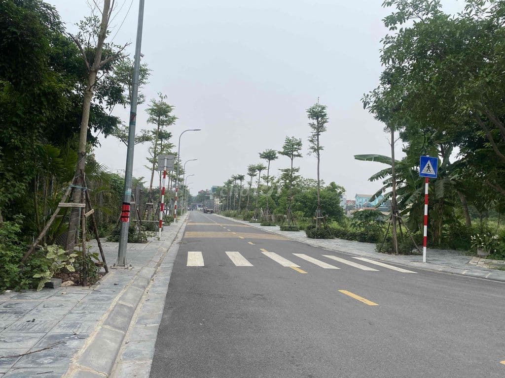 127m CHỈ 40tr/m ĐÓN SÓNG KCN 300ha XUÂN NỘN THƯ LÂM Ô TÔ ĐỖ CỬA - Ảnh 3