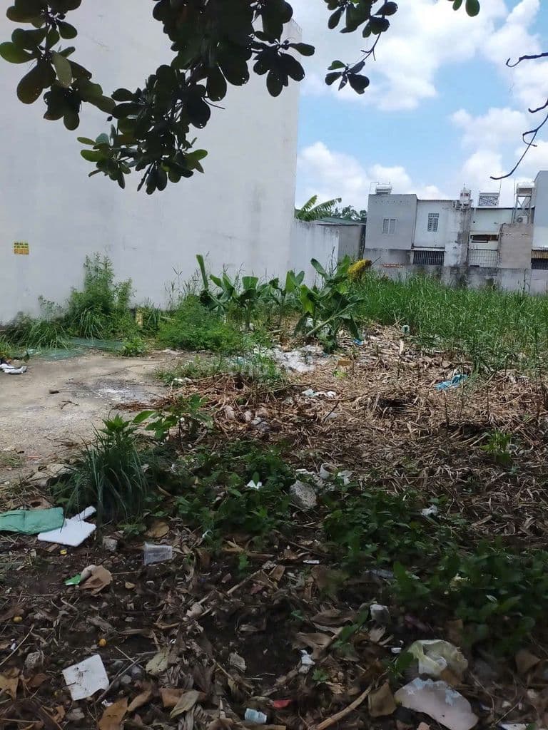 Đất Nguyễn Bình Chính Chủ - Full thổ 191m2, Hẻm nhựa 6m, Gần rạch tôm - Ảnh 3