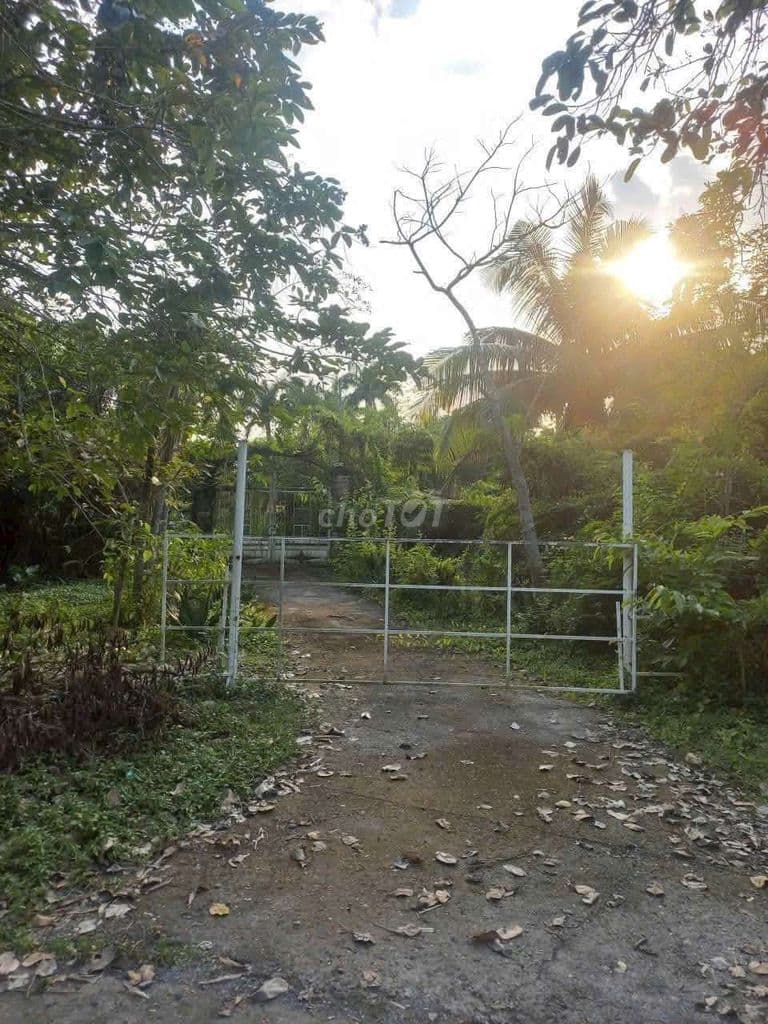 10tr/m2 Mặt Tiền và Giáp Sông Đồng Nai - Ảnh 2