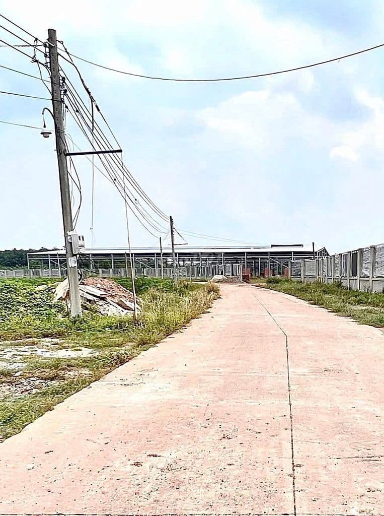 Bán đất xã Trừ Văn Thố, TP.HCM, 6x53m, thổ cư - Ảnh 3
