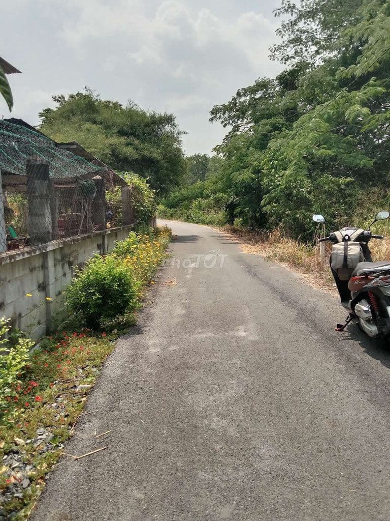 BÁN ĐẤT THỔ CƯ 1 ĐƯỜNG LÝ THỊ CHỪNG