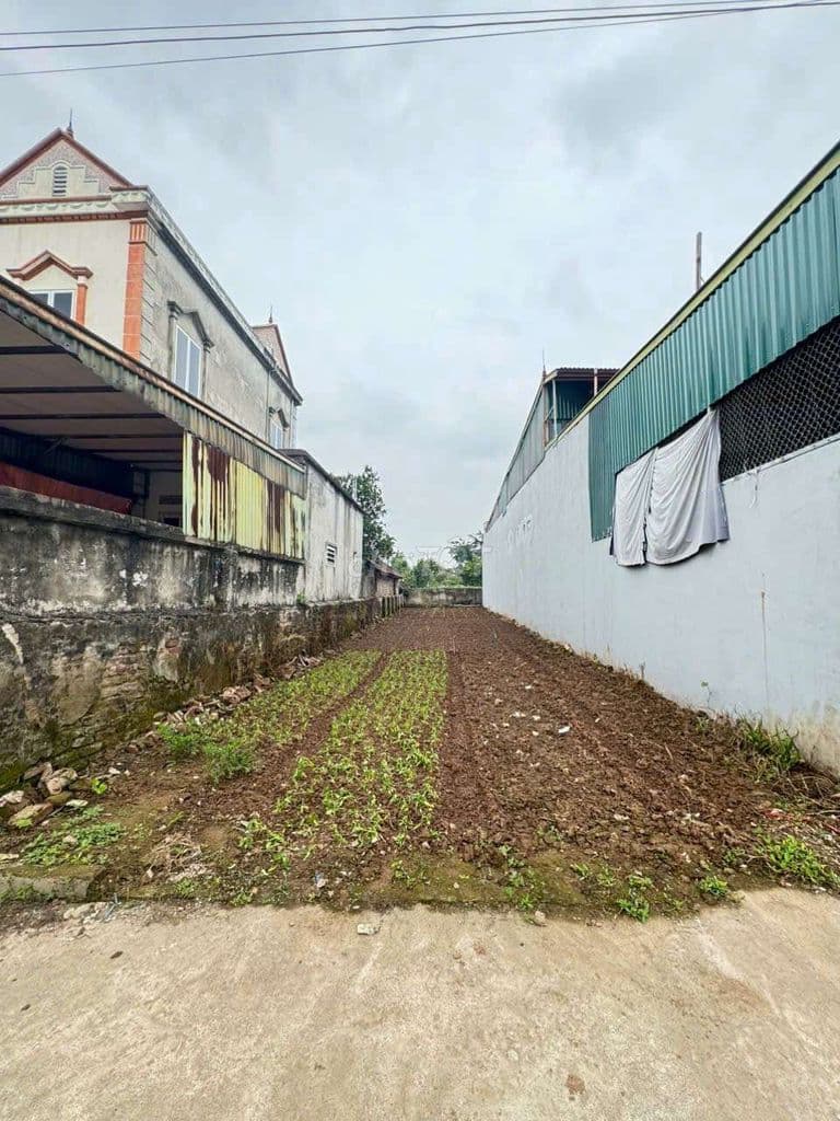 Bán 98m2 đất thổ cư tại xóm 2 Xã Chương Dương, Hà Nội - Ảnh 2