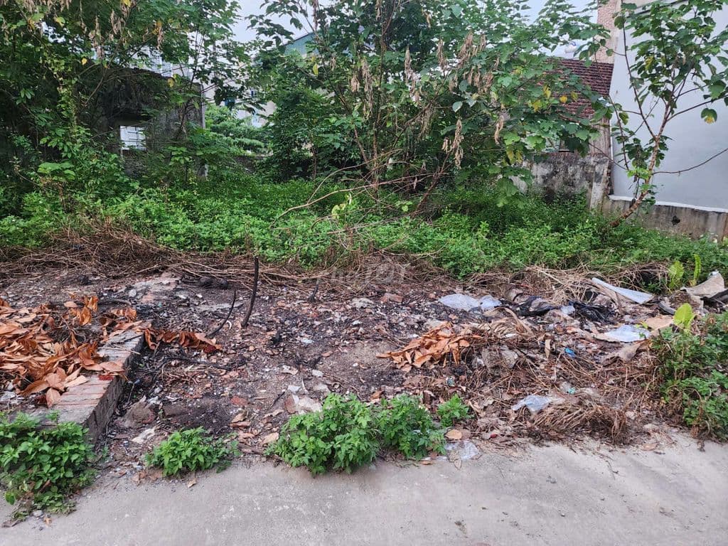 Bán đất Đại Áng, Thanh trì, Hà nội - đường ô tô thông - Ảnh 2
