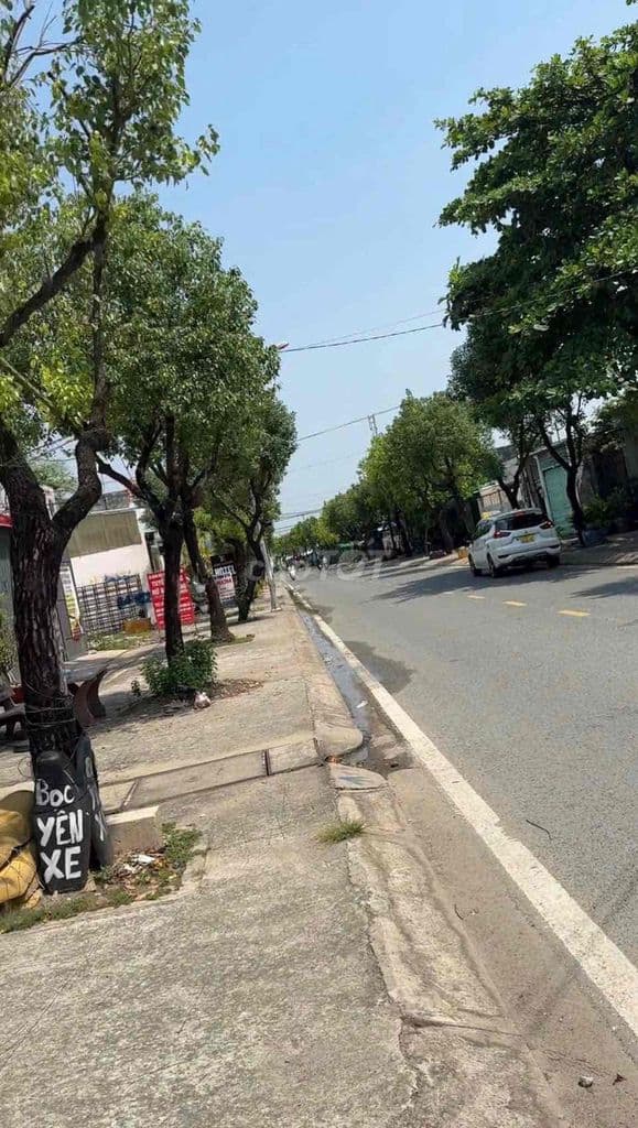 4,2 x19 Mat tiền Song Hành - Ảnh 3