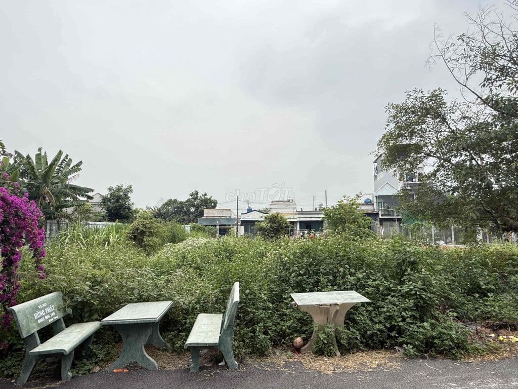 🌟 BÁN ĐẤT THỔ CƯ – ĐƯỜNG NHỰA 6M – XÂY DỰNG TỰ DO 🌟 📍 Vị trí: 2/ Trun - Ảnh 3