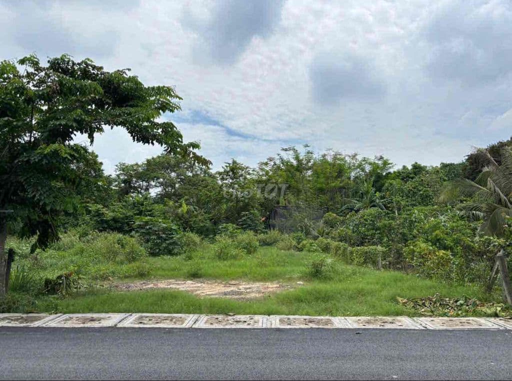 Gấp Chủ Ngộp Cần Bán Nhanh Đất Mặt Tiền Thị Trấn Củ Chi 225m2 650tr