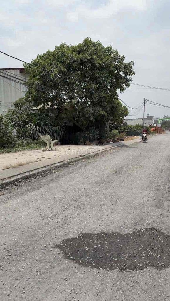 🔥 GIẬT MÌNH GIÁ LÔ GÓC 2 MẶT TIỀN HƯNG LONG – CHỈ 7,5 TỶ - Ảnh 3