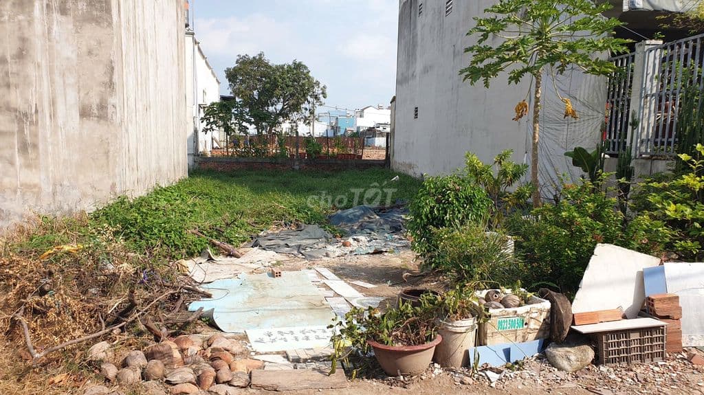 HOT- Đất thổ cư 8m x 16m, đường 6m, gần chợ Đại Hải, Cây Xăng 61 - Ảnh 2