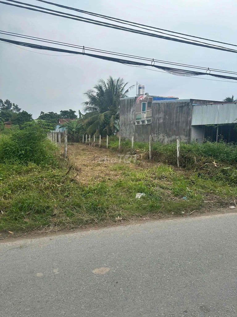 Bán mặt tiền đường nhựa 150m2 full thổ cư Tân Thông Hội chỉ 550tr - Ảnh 3