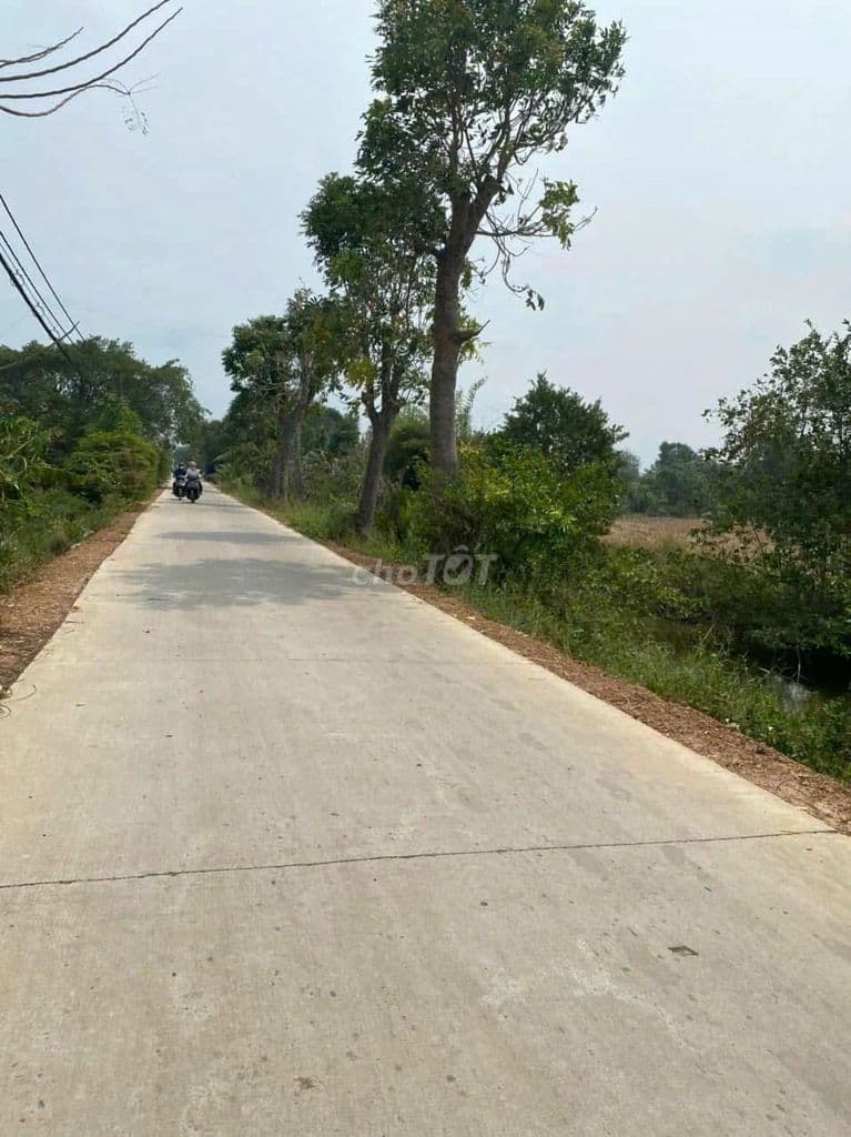 Bán đất Bình Chánh