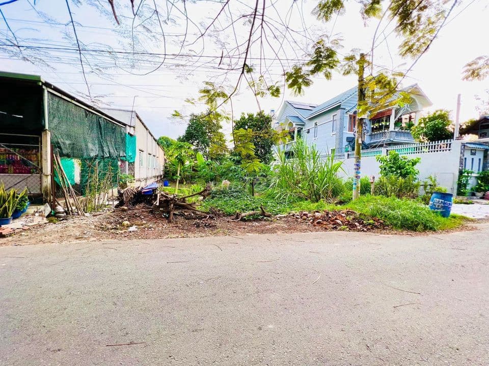 Bán đất SHR (DT 5x30m Giá 1 tỷ 250) MT Trần Tử Bình ngay chợ Việt Kiều - Ảnh 3
