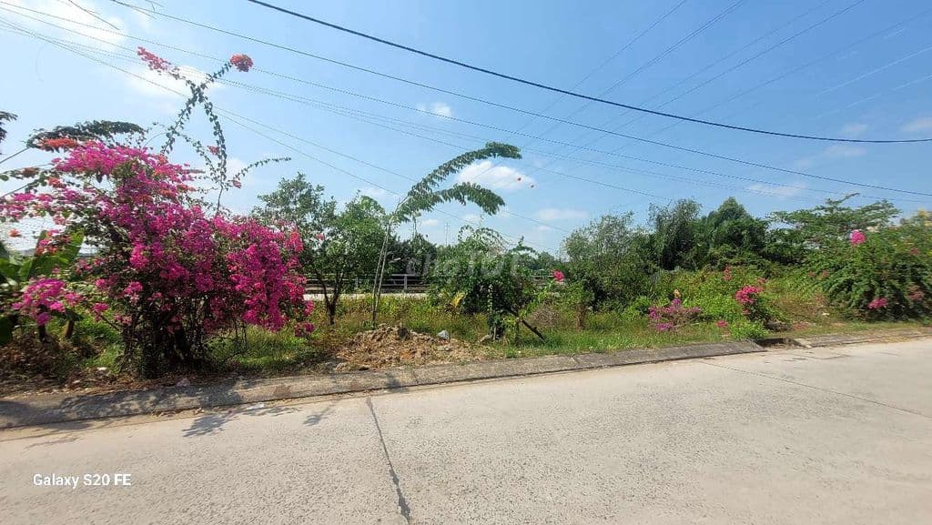 Bán lô Biệt Thư View sông đường nguyễn hữu thọ, Nhà Bè cực đẹp - Ảnh 2