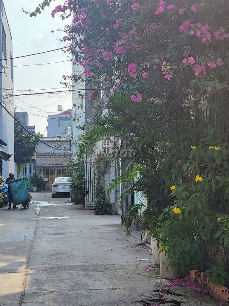 BÁN ĐẤT HẺM XE HƠI PHẠM ĐĂNG GIẢNG, BÌNH HƯNG HÒA, BÌNH TÂN 4,2X16M2, - Ảnh 3