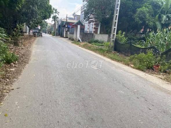 Đất mặt đường kinh doanh Yên Mỹ - Cách TL420 200m - Ảnh 2