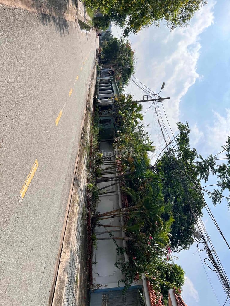 600m2 Đất Thổ cư ,MT đường Nhị Bình 8m ,Nhị Bình ,Hóc Môn - Ảnh 3