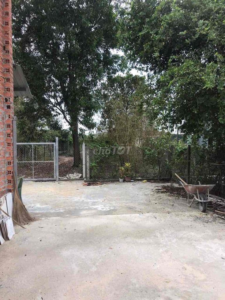 Nhà vườn gần 400m2 bán nhanh giảm mạnh - Ảnh 2