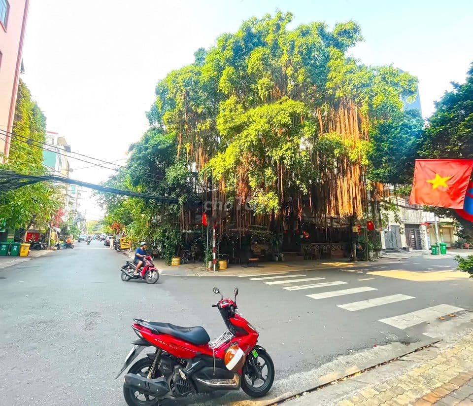 Lô góc 2 mặt tiền kinh doanh sầm uất Đường Số 79 & 42, Quận 7 - Ảnh 3