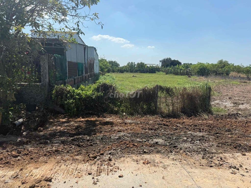 Bán 3626m2 đất, có 1500m2 thổ cư, ngang 34 x 107m, Phước Thạnh, Củ Chi - Ảnh 3