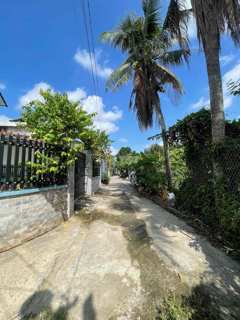 Bán lô đất thổ cư xã Bình Chánh, dt 90m2 giá 2.4tỷ, sổ hồng riêng - Ảnh 2