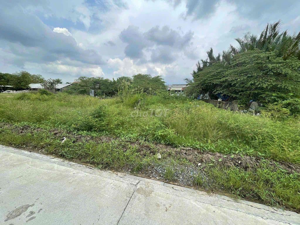 BÁN 270M2 ĐẤT BIỆT THỰ VƯỜN VIEW SÔNG THOÁNG CHỈ 7 TỶ NHỎ - Ảnh 2