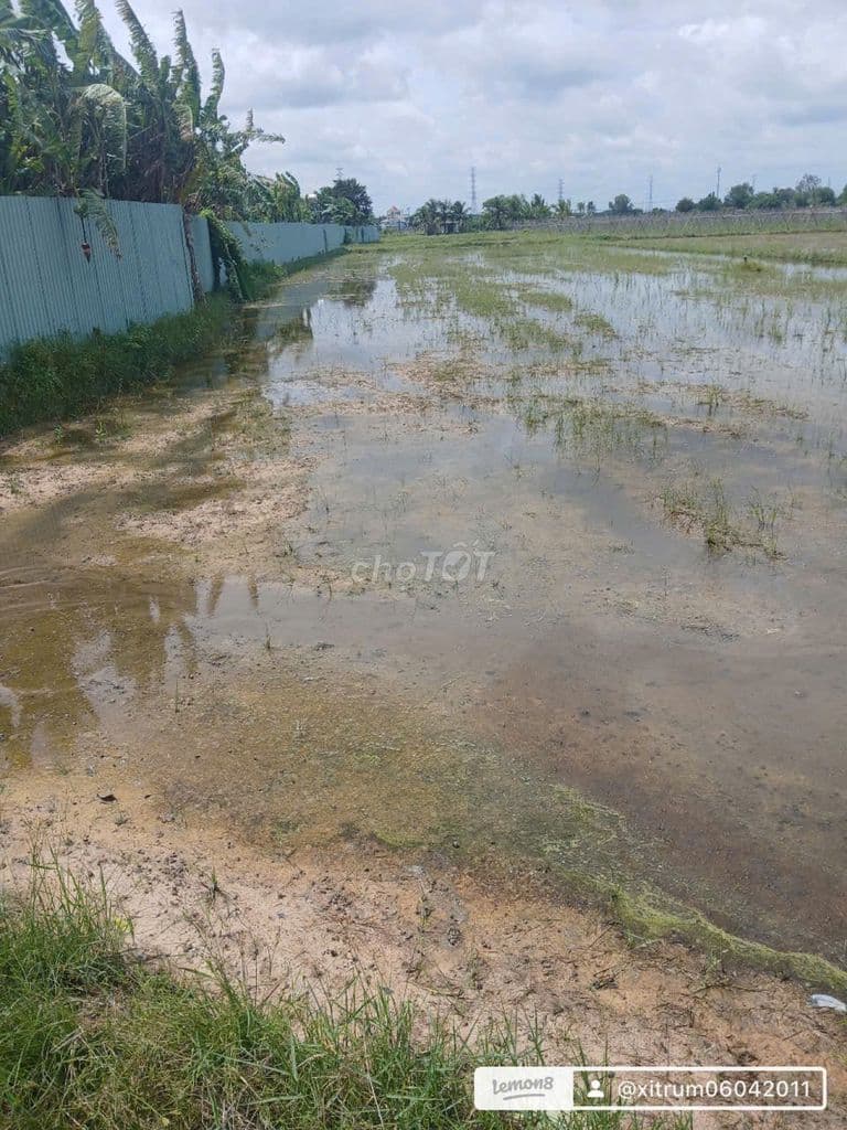 BĐS nông nghiệp 570m² tại Xã Phước Thạnh, Củ Chi – giá 1,5 tỷ đồng