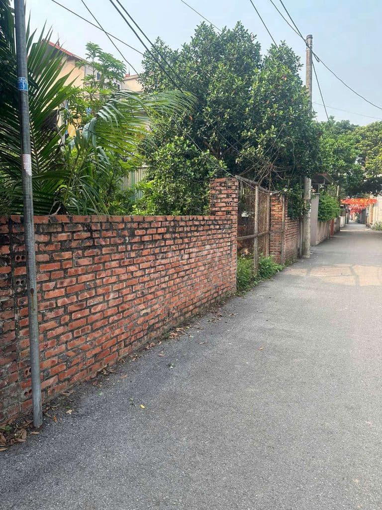 đất chính chủ tổ 16 yên nghĩa - Ảnh 3