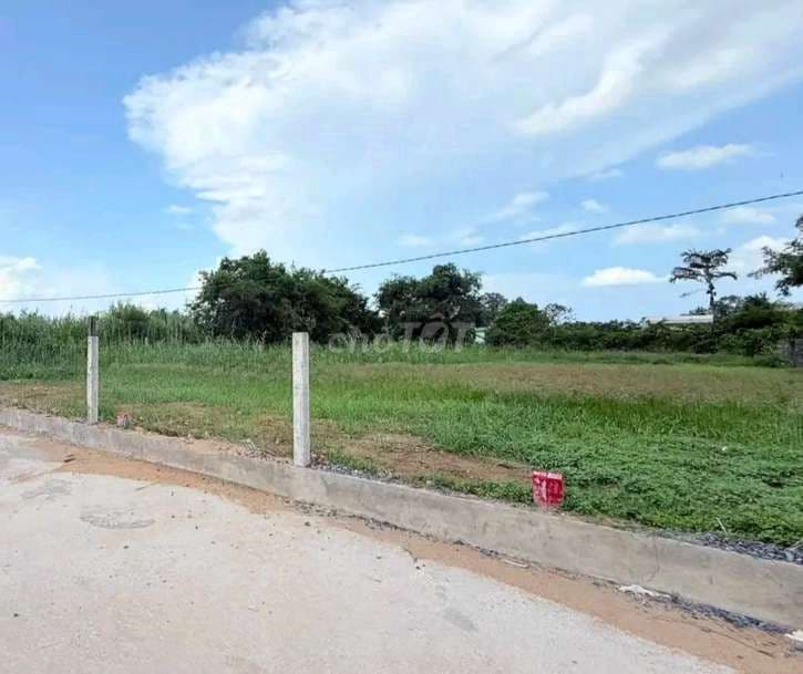 Cần bán gấp đất vườn Xã Thái Mỹ Củ Chi giá 800tr - Ảnh 3
