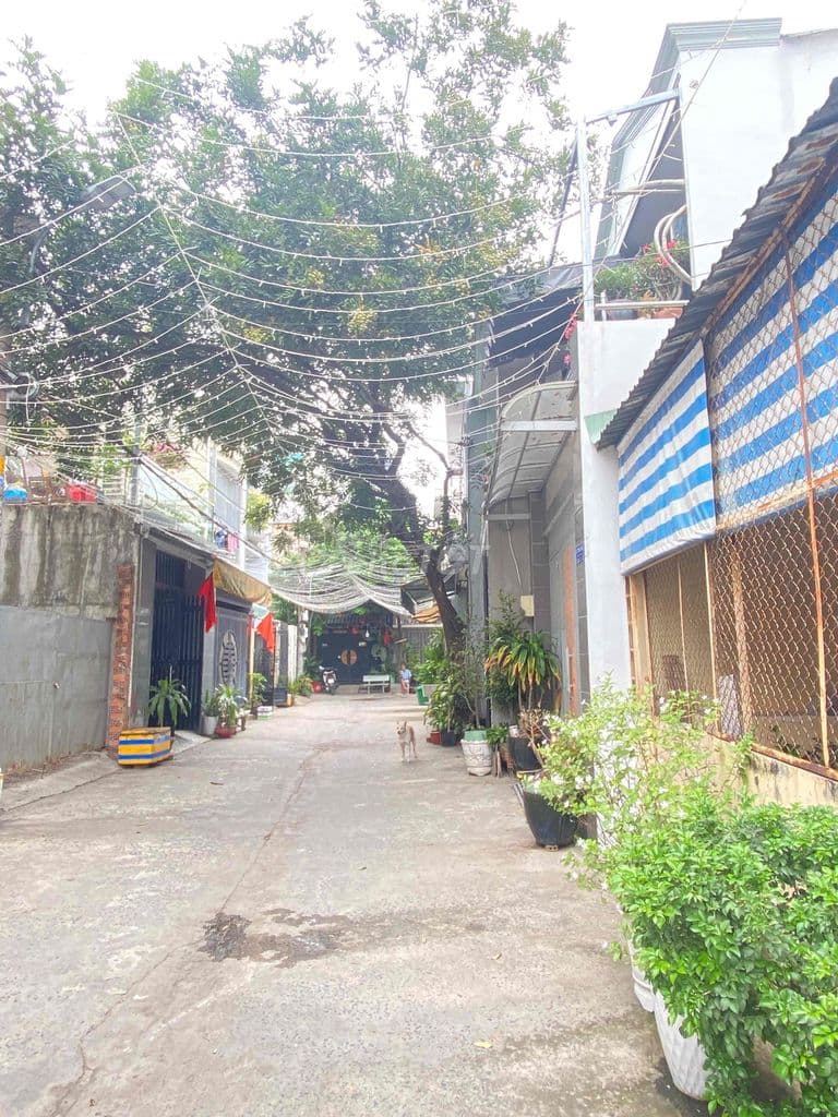 Ông Bà Gửi Bán - 4.5m x 20m - 4 Tỷ - Hẻm Xe hơi Tân Thới Hiệp 21 - Ảnh 3