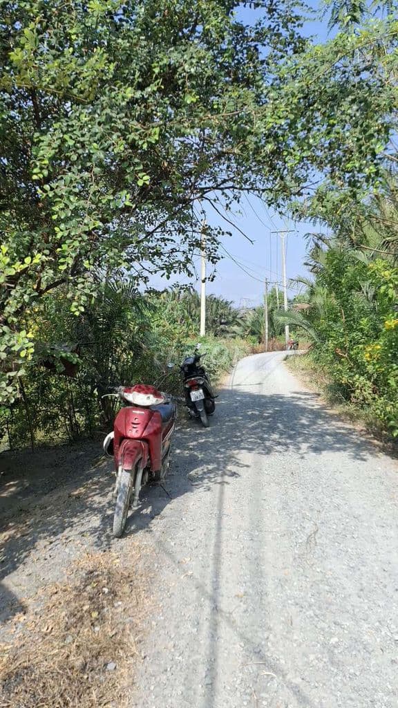 Cần bán gấp 3410m đất trồng cây lâu năm xã Đa Phước BC - Ảnh 3