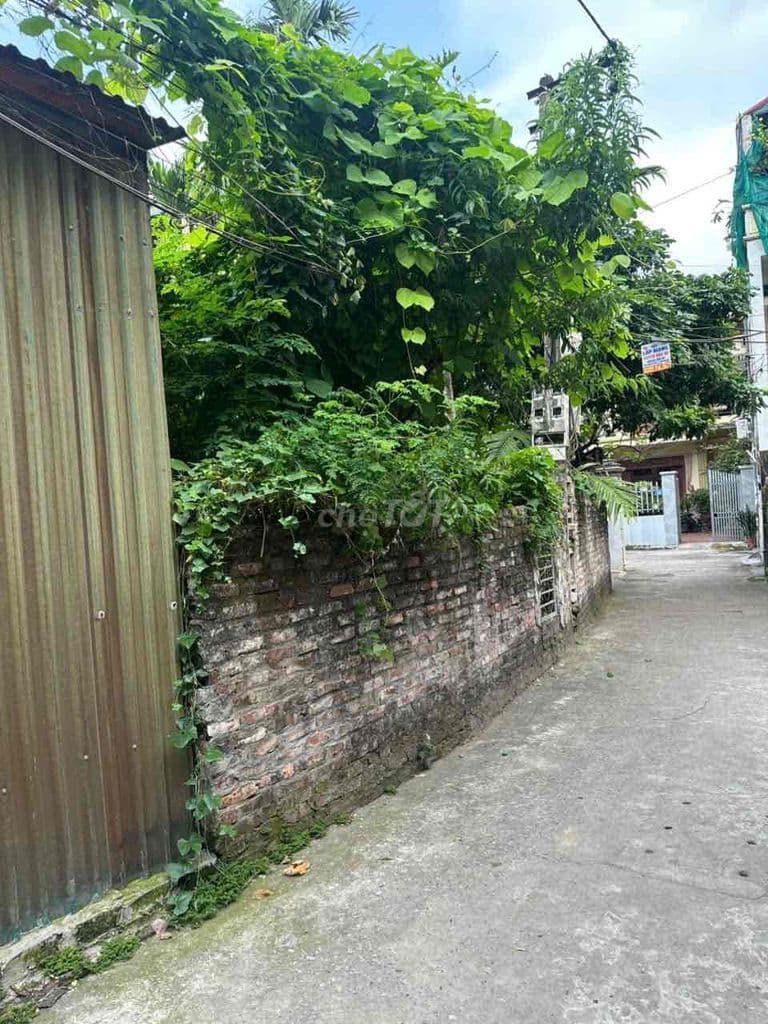 🏡 CHÍNH CHỦ BÁN ĐẤT PHÚC LỢI – , Ô TÔ VÀO TẬN ĐẤT 🚗 - Ảnh 2