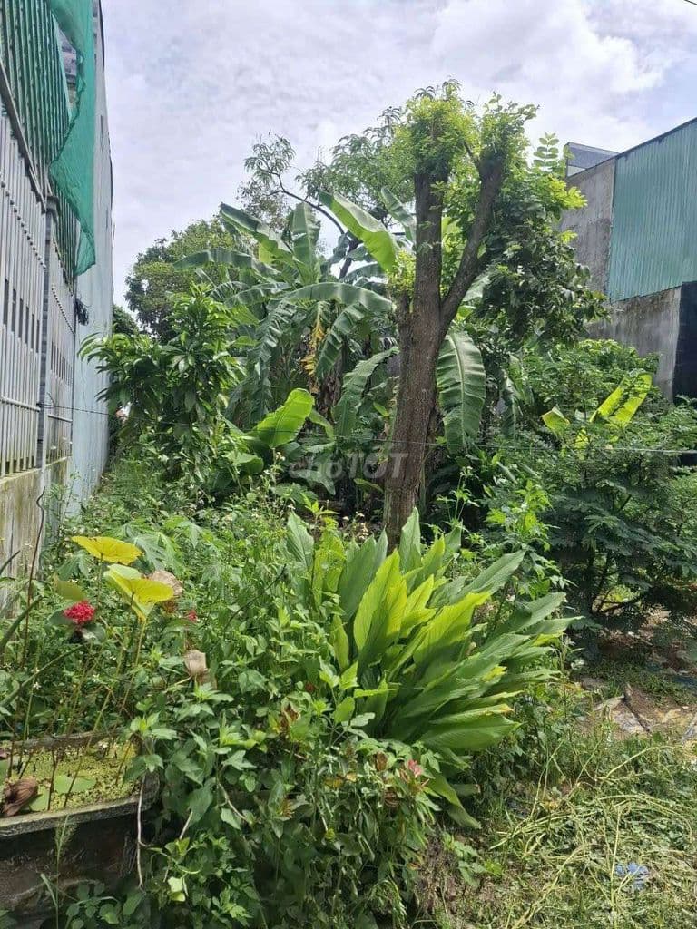 bán lô đất Đại Phước mở rộng, 156m2 - Ảnh 2