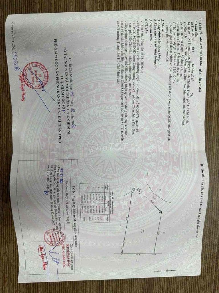 Bán 1000m đất Cây Lâu Năm Xã Hưng Long Bình Chánh