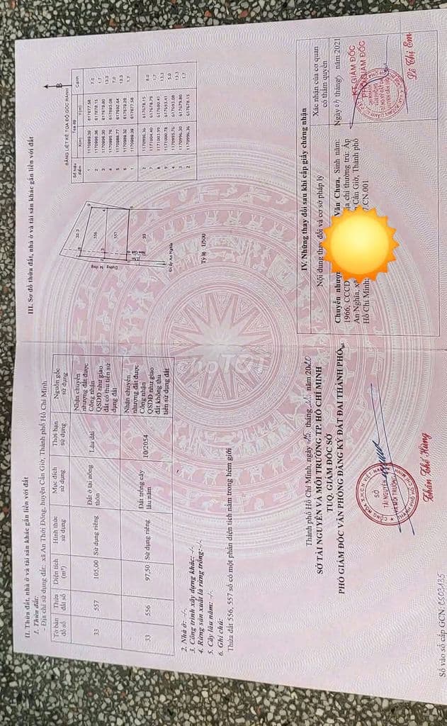 Bán đất nền Cần Giờ - An Nghĩa chính chủ - Ảnh 2