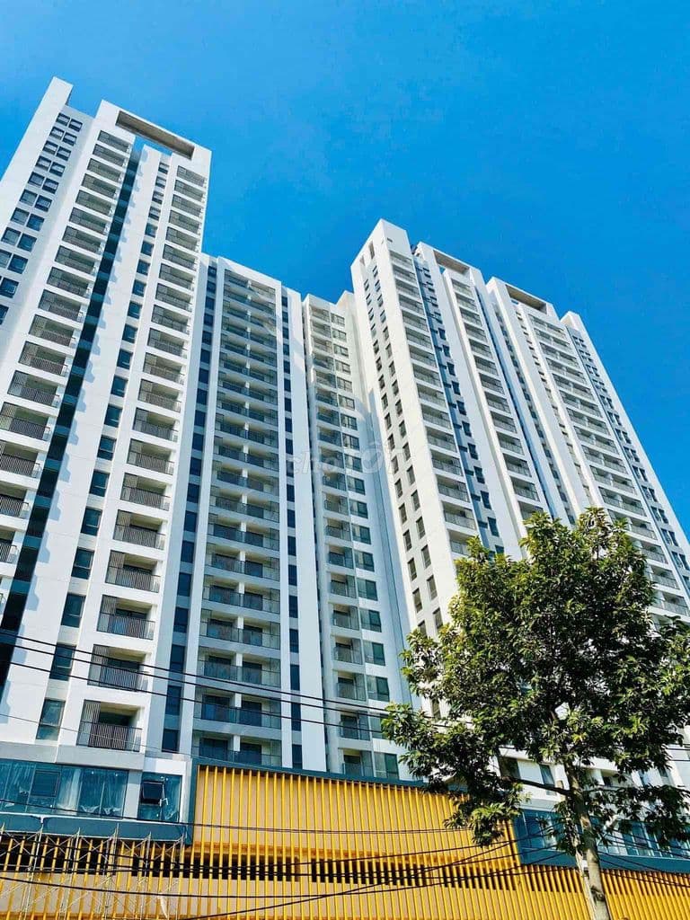 chung cư 1 phòng ngủ Aurora Residences liền kề Quận 5