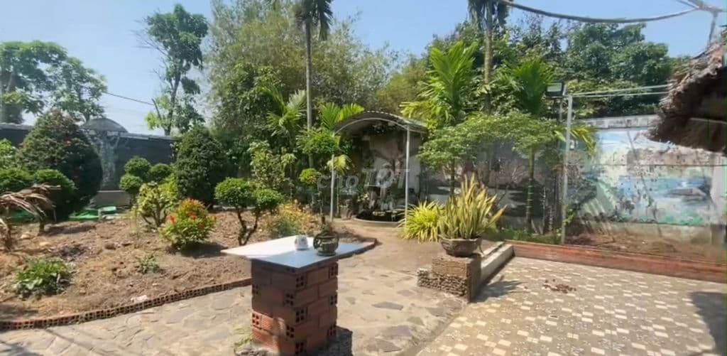 BÁN ĐẤT THỔ CƯ – CÁCH VÀNH ĐAI 3 300M – 23 TỶ TL Ở BÌNH MỸ, CỦ CHI - Ảnh 3