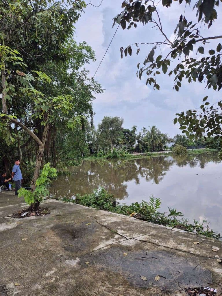 Bán Đất View Sông Lớn, Ngang 5 Dài 30 đường nhựa 10m Thông - Ảnh 2