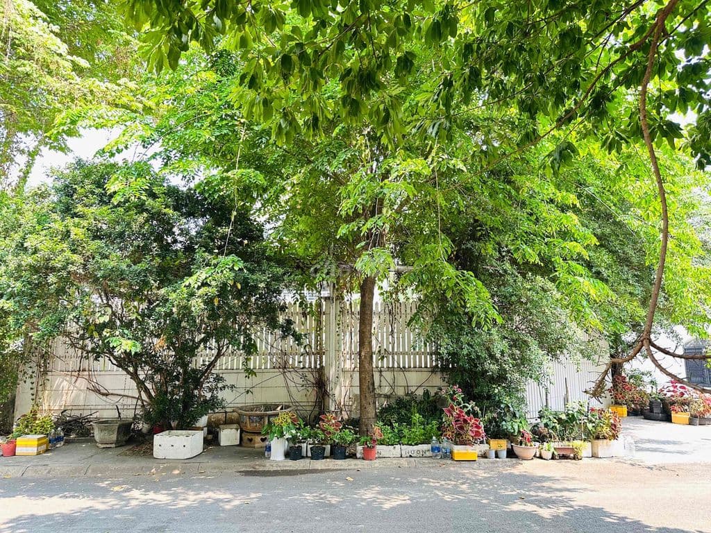 CC bán Lô 2 Góc MT Bình Lợi Khu Biệt Thự 18 x 16m Giá 36 Tỷ - Ảnh 2