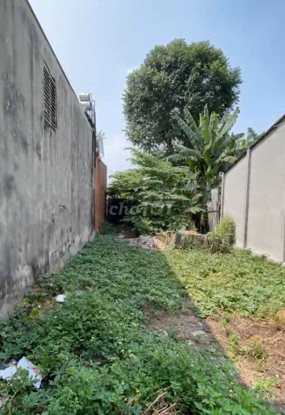 (Bán gấp) Đất Hóc Môn - 173,3 m² - 1,6 tỷ - Ảnh 3