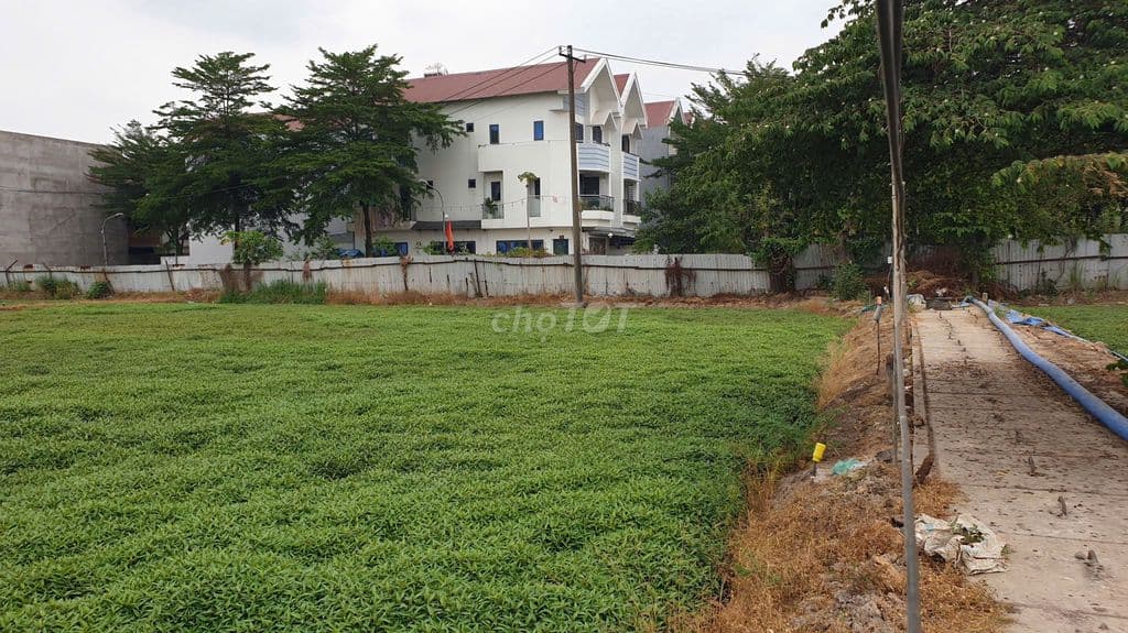 Bán lô đất DT 40x50, hẻm Bà Điểm 4, gần trường Bùi Văn Ngữ- Bà Điểm HM - Ảnh 3