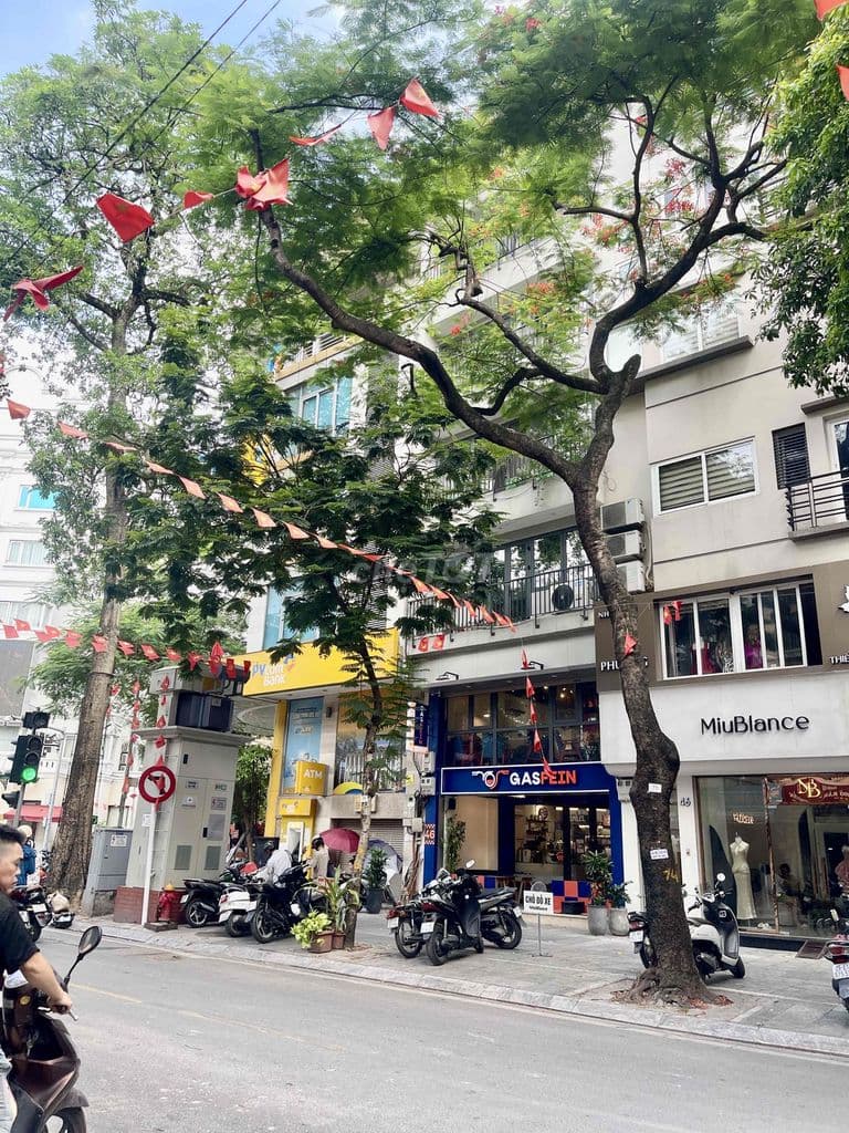 MẶT PHỐ VIP BA ĐÌNH – MẶT TIỀN QUYỀN LỰC 6M – DÒNG TIỀN 400TR/NĂM – HI - Ảnh 2