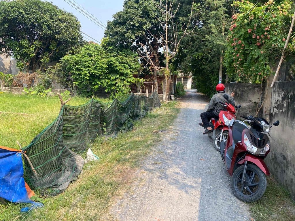 Bán lô 100m2 thổ cư gần khu công nghiệp và chợ hoà phú đường thông xe - Ảnh 3