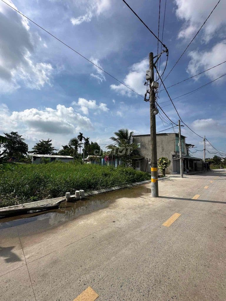 Đất 8 x 33M - 1 Sẹc sông Sài Gòn phường An Phú Đông Quận 12 - Ảnh 2