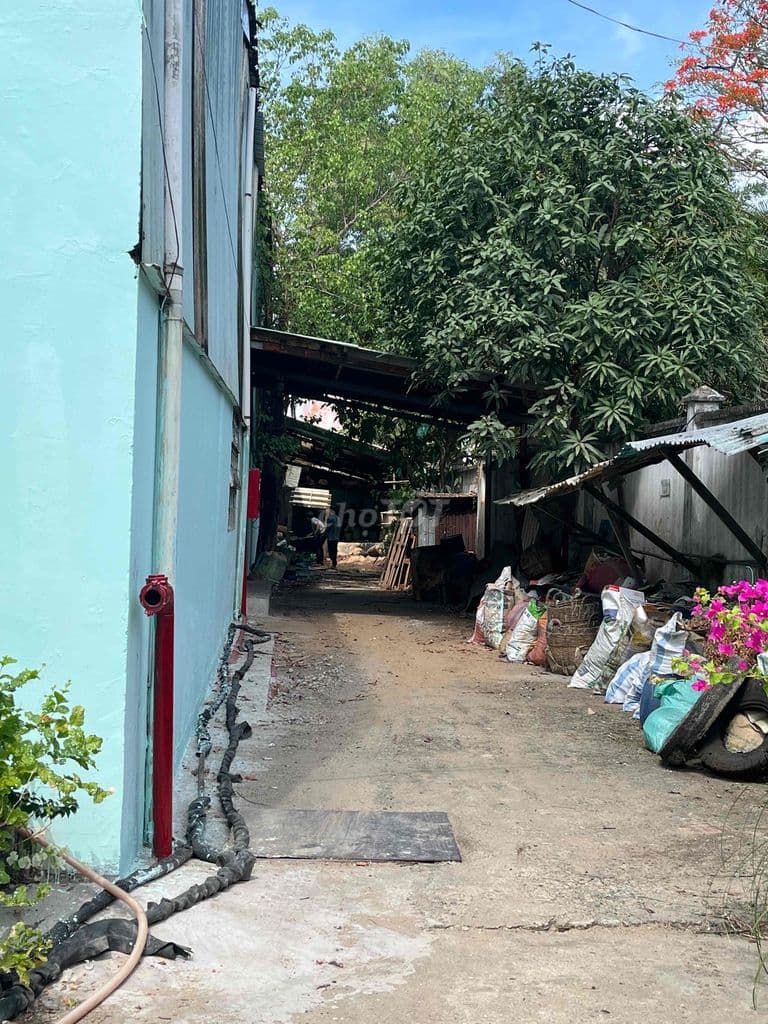 cần chuyển nhượng nhà xưởng - Ảnh 2