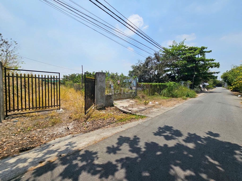 ĐẤT CHÍNH CHỦ BÁN GẤP 212m2, TÂN THÔNG HỘI, CỦ CHI, SHR - Ảnh 2