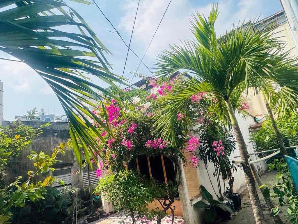 Bán đất Tặng Nhà Vườn Nghỉ Dưỡng Giữa Sài Gòn - Ảnh 3