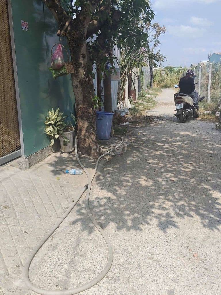 BÁN ĐÂT, 1/ NGUYỄN THỊ THẢNH - Ảnh 2