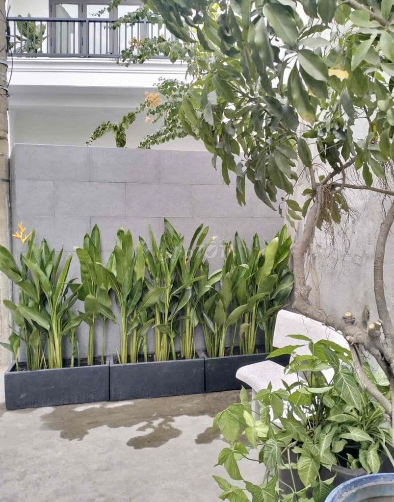 THỦ ĐỨC - KHA VẠN CÂN - Chỉ 4.99 tỷ - Hẻm ô tô tới cửa - Ảnh 3
