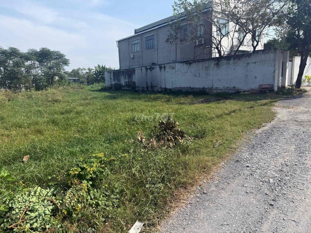Đất 12x45m . Xuân Thới Sơn 16 . Dương Công Khi & Nguyễn Văn Bứa - Ảnh 3
