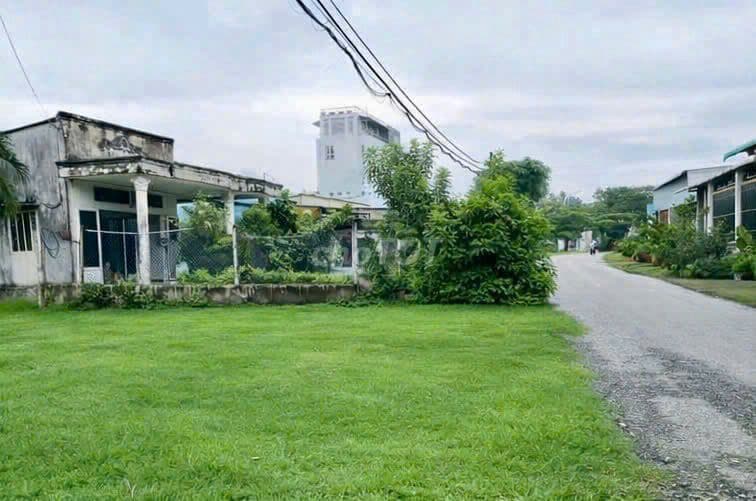 GIẢM SÂU BÁN GẤP 448M2 ĐẤT MT NGÔ THỊ NÀO, TÂN THÔNG HỘI, CỦ CHI HCM - Ảnh 3