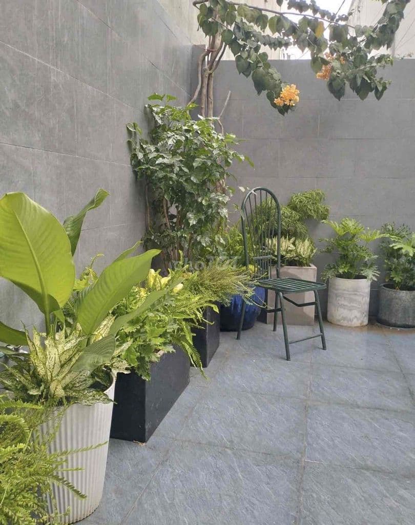 THỦ ĐỨC - KHA VẠN CÂN - Chỉ 4.99 tỷ - Hẻm ô tô tới cửa - Ảnh 2